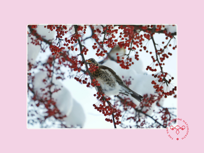 “'It Only Happens After Sex' Why Post-Intimacy Vaginal Symptoms Are So Often Misunderstood"